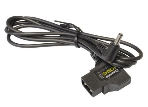 DC plug with D-tap cable for L10/EVF4C
