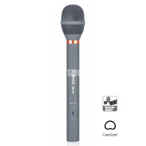 Professional Hand-held Microphone
